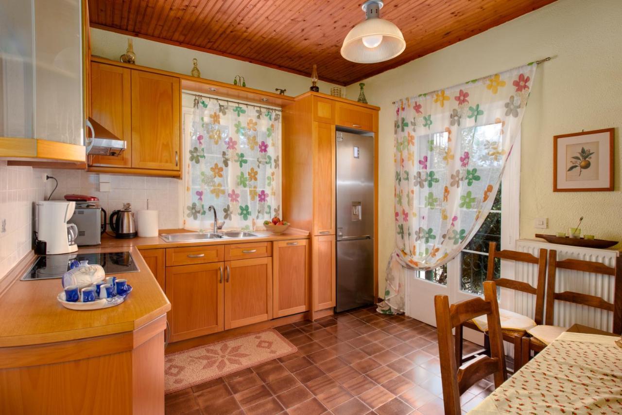 Eleni'S Traditional House In Agrafi Agrafoi 外观 照片